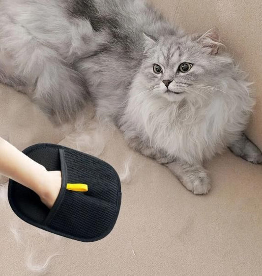 Pet Hair Removal Gloves ( Buy 1 Get 1 Free )